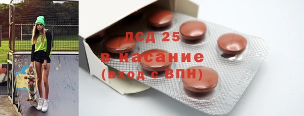 крисы Алзамай