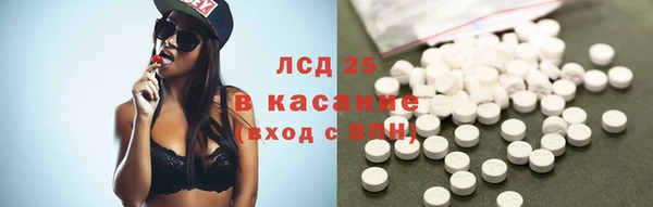 крисы Алзамай