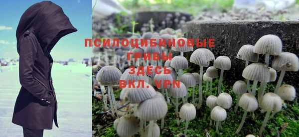 ГАЛЛЮЦИНОГЕННЫЕ ГРИБЫ Корсаков