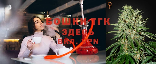 крисы Алзамай