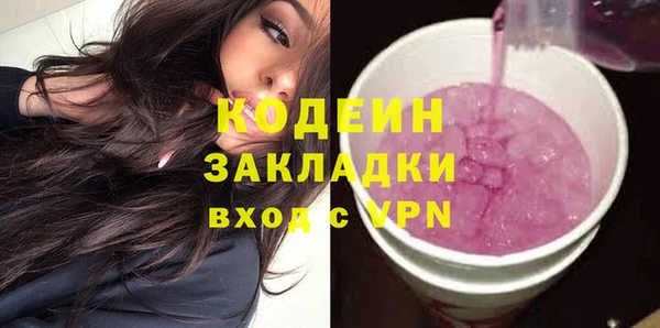 МДПВ Инсар